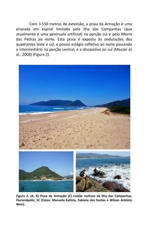 Com 3.550 metros de extensão, a praia da Armação é uma 
enseada em espiral limitada pela Ilha das Campanhas (que 
atualmente é uma península artificial) na porção sul e pelo Morro 
das Pedras ao norte. Esta praia é exposta às ondulações dos 
quadrantes leste e sul, e possui estágio refletivo ao norte passando 
a intermediário na porção central, e a dissipativo ao sul (Mazzer et 
al., 2008) (Figura 2). 
Figura 2. (A, B) Praia da Armação (C) costão rochoso da Ilha das Campanhas, 
Florianópolis, SC (Fotos: Manuela Batista, Fabiane dos Santos e Wilson Antônio 
Weis). 
 