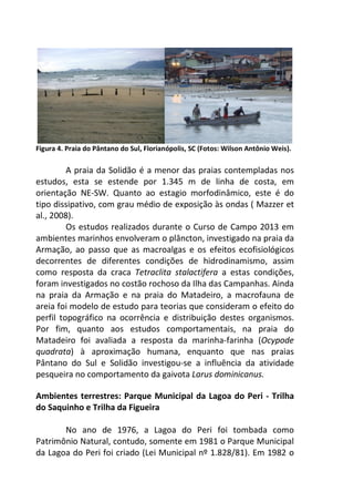 Figura 4. Praia do Pântano do Sul, Florianópolis, SC (Fotos: Wilson Antônio Weis). 
A praia da Solidão é a menor das praias contempladas nos 
estudos, esta se estende por 1.345 m de linha de costa, em 
orientação NE-SW. Quanto ao estagio morfodinâmico, este é do 
tipo dissipativo, com grau médio de exposição às ondas ( Mazzer et 
al., 2008). 
Os estudos realizados durante o Curso de Campo 2013 em 
ambientes marinhos envolveram o plâncton, investigado na praia da 
Armação, ao passo que as macroalgas e os efeitos ecofisiológicos 
decorrentes de diferentes condições de hidrodinamismo, assim 
como resposta da craca Tetraclita stalactifera a estas condições, 
foram investigados no costão rochoso da Ilha das Campanhas. Ainda 
na praia da Armação e na praia do Matadeiro, a macrofauna de 
areia foi modelo de estudo para teorias que consideram o efeito do 
perfil topográfico na ocorrência e distribuição destes organismos. 
Por fim, quanto aos estudos comportamentais, na praia do 
Matadeiro foi avaliada a resposta da marinha-farinha (Ocypode 
quadrata) à aproximação humana, enquanto que nas praias 
Pântano do Sul e Solidão investigou-se a influência da atividade 
pesqueira no comportamento da gaivota Larus dominicanus. 
Ambientes terrestres: Parque Municipal da Lagoa do Peri - Trilha 
do Saquinho e Trilha da Figueira 
No ano de 1976, a Lagoa do Peri foi tombada como 
Patrimônio Natural, contudo, somente em 1981 o Parque Municipal 
da Lagoa do Peri foi criado (Lei Municipal nº 1.828/81). Em 1982 o 
 