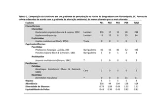 Tabela 2. Composição da ictiofauna em um gradiente de perturbação no riacho do Sangradouro em Florianópolis, SC. Pontos de 
coleta ordenados de acordo com o gradiente de alteração ambiental, do menos alterado para o mais alterado. 
Espécies P01 P02 P03 P04 Total 
Characiformes 
Characidae 
Deuterodon singularis Lucena & Lucena, 1992 Lambari 176 17 13 28 234 
Hyphenossobrycon sp. Lambari 11 12 6 35 64 
Erythrinidae 
Hoplias malabaricus (Bloch, 1794) Traíra 0 0 1 0 1 
Cyprinodontiformes 
Poeciliidae 
Phalloceros harpagos Lucinda, 200 Barrigudinho 46 15 83 52 196 
Poecilia vivípara Bloch & Schneider, 1801 Barrigudinho 1 0 1 2 4 
Anablepidae 
Jenynsia multidentata (Jenyns, 1842) * 2 0 0 0 2 
Perciformes 
Cichlidae 
Geophagus brasiliensis (Quoy & Gaimard, 
1824) 
Cara 2 0 0 0 2 
Eleotridae 
Dormitator maculatus * 0 0 0 11 11 
Riqueza 6 3 5 5 8 
Abundância 238 44 104 128 514 
Diversidade de Shannon 0.78 1.08 0.69 1.32 1.32 
Equitabilidade de Peilou 0.43 0.99 0.43 0.82 0.82 
 