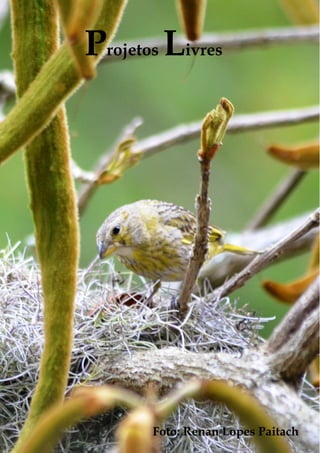 PROJETOS LIVRES 
Projetos Livres 
Ecologia de campo: abordagens no mar, na terra e em águas continentais 
PPG Ecologia UFSC 2013 
211 
Foto: Renan Lopes Paitach 
 