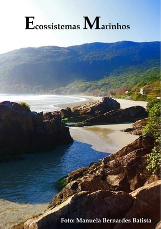ECOSSISTEMAS MARINHOS 
Ecossistemas Marinhos 
Ecologia de campo: abordagens no mar, na terra e em águas continentais 
PPG Ecologia UFSC 2013 
25 
Foto: Manuela Bernardes Batista 
 