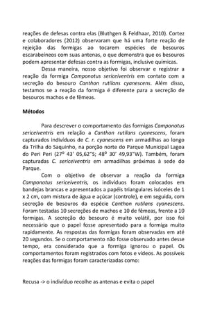 reações de defesas contra elas (Bluthgen & Feldhaar, 2010). Cortez 
e colaboradores (2012) observaram que há uma forte reação de 
rejeição das formigas ao tocarem espécies de besouros 
escarabeíneos com suas antenas, o que demonstra que os besouros 
podem apresentar defesas contra as formigas, inclusive químicas. 
Dessa maneira, nosso objetivo foi observar e registrar a 
reação da formiga Camponotus sericeiventris em contato com a 
secreção do besouro Canthon rutilans cyanescens. Além disso, 
testamos se a reação da formiga é diferente para a secreção de 
besouros machos e de fêmeas. 
Métodos 
Para descrever o comportamento das formigas Camponotus 
sericeiventris em relação a Canthon rutilans cyanescens, foram 
capturados indivíduos de C. r. cyanescens em armadilhas ao longo 
da Trilha do Saquinho, na porção norte do Parque Municipal Lagoa 
do Peri Peri (27⁰ 43’ 05,62”S; 48⁰ 30’ 49,93”W). Também, foram 
capturadas C. sericeiventris em armadilhas próximas à sede do 
Parque. 
Com o objetivo de observar a reação da formiga 
Camponotus sericeiventris, os indivíduos foram colocados em 
bandejas brancas e apresentados a papéis triangulares isóceles de 1 
x 2 cm, com mistura de água e açúcar (controle), e em seguida, com 
secreção de besouros da espécie Canthon rutilans cyanescens. 
Foram testadas 10 secreções de machos e 10 de fêmeas, frente a 10 
formigas. A secreção do besouro é muito volátil, por isso foi 
necessário que o papel fosse apresentado para a formiga muito 
rapidamente. As respostas das formigas foram observadas em até 
20 segundos. Se o comportamento não fosse observado antes desse 
tempo, era considerado que a formiga ignorou o papel. Os 
comportamentos foram registrados com fotos e vídeos. As possíveis 
reações das formigas foram caracterizadas como: 
Recusa -> o indivíduo recolhe as antenas e evita o papel 
 