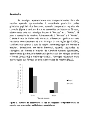 Resultados 
As formigas apresentaram um comportamento claro de 
repulsa quando apresentadas à substância produzida pelas 
glândulas pigidiais dos besouros, quando comparadas aquelas do 
controle (água e açúcar). Para as secreções de besouros fêmeas, 
observamos que nas formigas houve 9 “Recusa” e 1 “Aceita”. Já 
para a secreção de machos, foi observado 6 “Recusa” e 4 “Aceita”. 
O teste Exato de Fisher não detectou diferenças significativas nas 
respostas comportamentais das formigas às secreções (p=0,3034), 
considerando apenas o tipo de resposta sem segregar em fêmeas e 
machos. Entretanto, no teste binomial, quando separadas as 
secreções de fêmeas e machos de Canthon rutilans cyanescens, 
observamos que houve diferenças significativas em relação ao sexo 
– fêmea (p=0,0390) e macho (p=0,6875). Formigas recusaram mais 
as secreções das fêmeas do que as secreções de machos (fig.2). 
Figura 2. Número de observações e tipo de respostas comportamentais ao 
contato com as secreções pigidiais dos escarabeíneos. 
 