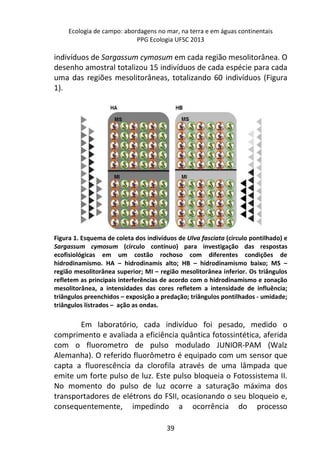 Ecologia de campo: abordagens no mar, na terra e em águas continentais 
PPG Ecologia UFSC 2013 
indivíduos de Sargassum cymosum em cada região mesolitorânea. O 
desenho amostral totalizou 15 indivíduos de cada espécie para cada 
uma das regiões mesolitorâneas, totalizando 60 indivíduos (Figura 
1). 
Figura 1. Esquema de coleta dos indivíduos de Ulva fasciata (círculo pontilhado) e 
Sargassum cymosum (círculo contínuo) para investigação das respostas 
ecofisiológicas em um costão rochoso com diferentes condições de 
hidrodinamismo. HA – hidrodinamis alto; HB – hidrodinamismo baixo; MS – 
região mesolitorânea superior; MI – região mesolitorânea inferior. Os triângulos 
refletem as principais interferências de acordo com o hidrodinamismo e zonação 
mesolitorânea, a intensidades das cores refletem a intensidade de influência; 
triângulos preenchidos – exposição a predação; triângulos pontilhados - umidade; 
triângulos listrados – ação as ondas. 
Em laboratório, cada indivíduo foi pesado, medido o 
comprimento e avaliada a eficiência quântica fotossintética, aferida 
com o fluorometro de pulso modulado JUNIOR-PAM (Walz 
Alemanha). O referido fluorômetro é equipado com um sensor que 
capta a fluorescência da clorofila através de uma lâmpada que 
emite um forte pulso de luz. Este pulso bloqueia o Fotossistema II. 
No momento do pulso de luz ocorre a saturação máxima dos 
transportadores de elétrons do FSII, ocasionando o seu bloqueio e, 
consequentemente, impedindo a ocorrência do processo 
39 
 