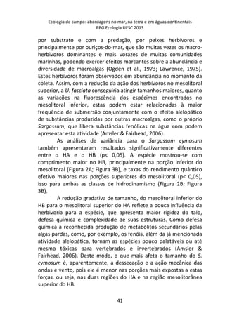 Ecologia de campo: abordagens no mar, na terra e em águas continentais 
PPG Ecologia UFSC 2013 
por substrato e com a predação, por peixes herbívoros e 
principalmente por ouriços-do-mar, que são muitas vezes os macro-herbivoros 
dominantes e mais vorazes de muitas comunidades 
marinhas, podendo exercer efeitos marcantes sobre a abundância e 
diversidade de macroalgas (Ogden et al., 1973; Lawrence, 1975). 
Estes herbívoros foram observados em abundância no momento da 
coleta. Assim, com a redução da ação dos herbívoros no mesolitoral 
superior, a U. fasciata conseguiria atingir tamanhos maiores, quanto 
as variações na fluorescência dos espécimes encontrados no 
mesolitoral inferior, estas podem estar relacionadas à maior 
frequência de submersão conjuntamente com o efeito alelopático 
de substâncias produzidas por outras macroalgas, como o próprio 
Sargassum, que libera substâncias fenólicas na água com podem 
apresentar esta atividade (Amsler & Fairhead, 2006). 
As análises de variância para o Sargassum cymosum 
também apresentaram resultados significativamente diferentes 
entre o HA e o HB (p< 0,05). A espécie mostrou-se com 
comprimento maior no HB, principalmente na porção inferior do 
mesolitoral (Figura 2A; Figura 3B), e taxas do rendimento quântico 
efetivo maiores nas porções superiores do mesolitoral (p< 0,05), 
isso para ambas as classes de hidrodinamismo (Figura 2B; Figura 
3B). 
A redução gradativa de tamanho, do mesolitoral inferior do 
HB para o mesolitoral superior do HA reflete a pouca influência da 
herbivoria para a espécie, que apresenta maior rigidez do talo, 
defesa química e complexidade de suas estruturas. Como defesa 
química a reconhecida produção de metabólitos secundários pelas 
algas pardas, como, por exemplo, os fenóis, além da já mencionada 
atividade alelopática, tornam as espécies pouco palatáveis ou até 
mesmo tóxicas para vertebrados e invertebrados (Amsler & 
Fairhead, 2006). Deste modo, o que mais afeta o tamanho do S. 
cymosum é, aparentemente, a dessecação e a ação mecânica das 
ondas e vento, pois ele é menor nas porções mais expostas a estas 
forças, ou seja, nas duas regiões do HA e na região mesolitorânea 
superior do HB. 
41 
 