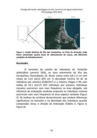 Ecologia de campo: abordagens no mar, na terra e em águas continentais 
PPG Ecologia UFSC 2013 
Figura 1. Costão Rochoso da Ilha das Campanhas, na Praia da Armação, onde 
foram amostradas quatro áreas de adensamento de cracas, sob diferentes 
condições de hidrodinamismo. 
51 
Resultados 
O tamanho da concha de indivíduos de Tetraclita 
stalactifera Lamarck 1818, na zona entremarés da Ilha das 
Campanhas, Florianópolis, SC. Brasil, variou entre 0,6 e 3 cm com 
média de 1,51 (±0,1) (EP) cm. A densidade mínima foi de 16 
indivíduos por amostra (0.0625m2) e a máxima chegou a 99, com 
média de 52.1 (±2,17) (EP) indivíduos por amostra. Indivíduos 
menores ocorreram com mais frequência na área abrigada, sob 
influência da ondulação nordeste enquanto os indivíduos maiores 
ocorreram com mais frequência na área exposta nordeste (Figura 
2). As análises de variância demonstraram que existem diferenças 
significativas no tamanho e na densidade dos indivíduos quando 
comparadas áreas, e direção da ondulação (Tabela 1; Figura 3; 
Figura 4). 
 