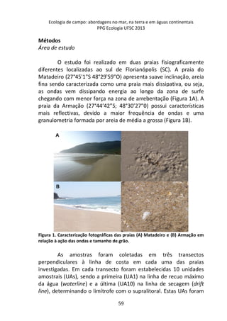 Ecologia de campo: abordagens no mar, na terra e em águas continentais 
PPG Ecologia UFSC 2013 
59 
Métodos 
Área de estudo 
O estudo foi realizado em duas praias fisiograficamente 
diferentes localizadas ao sul de Florianópolis (SC). A praia do 
Matadeiro (27°45'1"S 48°29'59"O) apresenta suave inclinação, areia 
fina sendo caracterizada como uma praia mais dissipativa, ou seja, 
as ondas vem dissipando energia ao longo da zona de surfe 
chegando com menor força na zona de arrebentação (Figura 1A). A 
praia da Armação (27°44’42”S; 48°30’27”0) possui características 
mais reflectivas, devido a maior frequência de ondas e uma 
granulometria formada por areia de média a grossa (Figura 1B). 
Figura 1. Caracterização fotográficas das praias (A) Matadeiro e (B) Armação em 
relação à ação das ondas e tamanho de grão. 
As amostras foram coletadas em três transectos 
perpendiculares à linha de costa em cada uma das praias 
investigadas. Em cada transecto foram estabelecidas 10 unidades 
amostrais (UAs), sendo a primeira (UA1) na linha de recuo máximo 
da água (waterline) e a última (UA10) na linha de secagem (drift 
line), determinando o limítrofe com o supralitoral. Estas UAs foram 
 