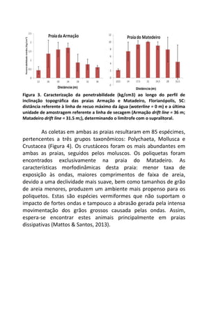 Figura 3. Caracterização da penetrabilidade (kg/cm3) ao longo do perfil de 
inclinação topográfica das praias Armação e Matadeiro, Florianópolis, SC: 
distância referente à linha de recuo máximo da água (waterline = 0 m) e a última 
unidade de amostragem referente a linha de secagem (Armação drift line = 36 m; 
Matadeiro drift line = 31.5 m;), determinando o limítrofe com o supralitoral. 
As coletas em ambas as praias resultaram em 85 espécimes, 
pertencentes a três grupos taxonômicos: Polychaeta, Mollusca e 
Crustacea (Figura 4). Os crustáceos foram os mais abundantes em 
ambas as praias, seguidos pelos moluscos. Os poliquetas foram 
encontrados exclusivamente na praia do Matadeiro. As 
características morfodinâmicas desta praia: menor taxa de 
exposição às ondas, maiores comprimentos de faixa de areia, 
devido a uma declividade mais suave, bem como tamanhos de grão 
de areia menores, produzem um ambiente mais propenso para os 
poliquetos. Estas são espécies vermiformes que não suportam o 
impacto de fortes ondas e tampouco a abrasão gerada pela intensa 
movimentação dos grãos grossos causada pelas ondas. Assim, 
espera-se encontrar estes animais principalmente em praias 
dissipativas (Mattos & Santos, 2013). 
 