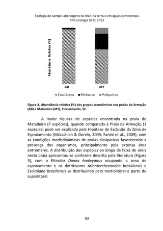 Ecologia de campo: abordagens no mar, na terra e em águas continentais 
PPG Ecologia UFSC 2013 
Figura 4. Abundância relativa (%) dos grupos taxonômicos nas praias da Armação 
(AR) e Matadeiro (MT), Florianópolis, SC. 
A maior riqueza de espécies encontrada na praia do 
Matadeiro (7 espécies), quando comparada à Praia da Armação (3 
espécies) pode ser explicada pela Hipótese de Exclusão da Zona de 
Espraiamento (McLachlan & Dorvlo, 2005; Fanini et al., 2009), com 
as condições morfodinâmicas de praias dissipativas favorecendo a 
presença dos organismos, principalmente pela extensa área 
entremarés. A distribuição das espécies ao longo da faixa de areia 
nesta praia apresentou-se conforme descrito pela literatura (Figura 
5), com o filtrador Donax hanleyanus ocupando a zona de 
espraiamento e os detritívoros Atlantorchestoidea brasiliensis e 
Excirolana braziliensis se distribuindo pelo mediolitoral e parte do 
supralitoral. 
63 
 