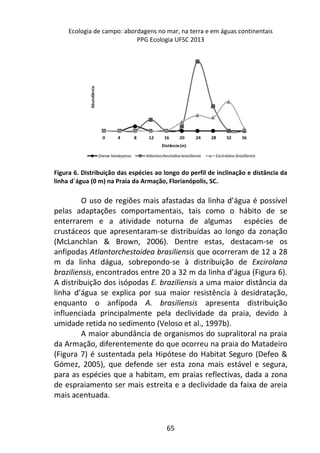 Ecologia de campo: abordagens no mar, na terra e em águas continentais 
PPG Ecologia UFSC 2013 
Figura 6. Distribuição das espécies ao longo do perfil de inclinação e distância da 
linha d´água (0 m) na Praia da Armação, Florianópolis, SC. 
O uso de regiões mais afastadas da linha d’água é possível 
pelas adaptações comportamentais, tais como o hábito de se 
enterrarem e a atividade noturna de algumas espécies de 
crustáceos que apresentaram-se distribuídas ao longo da zonação 
(McLanchlan & Brown, 2006). Dentre estas, destacam-se os 
anfípodas Atlantorchestoidea brasiliensis que ocorreram de 12 a 28 
m da linha dágua, sobrepondo-se à distribuição de Excirolana 
braziliensis, encontrados entre 20 a 32 m da linha d’água (Figura 6). 
A distribuição dos isópodas E. braziliensis a uma maior distância da 
linha d’água se explica por sua maior resistência à desidratação, 
enquanto o anfípoda A. brasiliensis apresenta distribuição 
influenciada principalmente pela declividade da praia, devido à 
umidade retida no sedimento (Veloso et al., 1997b). 
A maior abundância de organismos do supralitoral na praia 
da Armação, diferentemente do que ocorreu na praia do Matadeiro 
(Figura 7) é sustentada pela Hipótese do Habitat Seguro (Defeo & 
Gómez, 2005), que defende ser esta zona mais estável e segura, 
para as espécies que a habitam, em praias reflectivas, dada a zona 
de espraiamento ser mais estreita e a declividade da faixa de areia 
mais acentuada. 
65 
 