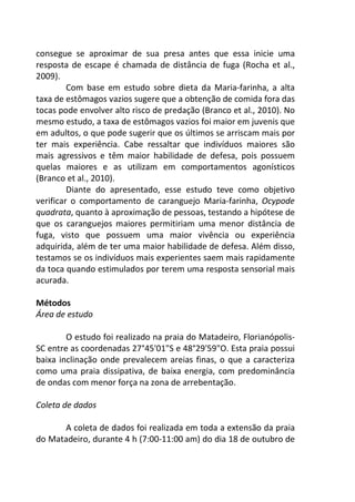consegue se aproximar de sua presa antes que essa inicie uma 
resposta de escape é chamada de distância de fuga (Rocha et al., 
2009). 
Com base em estudo sobre dieta da Maria-farinha, a alta 
taxa de estômagos vazios sugere que a obtenção de comida fora das 
tocas pode envolver alto risco de predação (Branco et al., 2010). No 
mesmo estudo, a taxa de estômagos vazios foi maior em juvenis que 
em adultos, o que pode sugerir que os últimos se arriscam mais por 
ter mais experiência. Cabe ressaltar que indivíduos maiores são 
mais agressivos e têm maior habilidade de defesa, pois possuem 
quelas maiores e as utilizam em comportamentos agonísticos 
(Branco et al., 2010). 
Diante do apresentado, esse estudo teve como objetivo 
verificar o comportamento de caranguejo Maria-farinha, Ocypode 
quadrata, quanto à aproximação de pessoas, testando a hipótese de 
que os caranguejos maiores permitiriam uma menor distância de 
fuga, visto que possuem uma maior vivência ou experiência 
adquirida, além de ter uma maior habilidade de defesa. Além disso, 
testamos se os indivíduos mais experientes saem mais rapidamente 
da toca quando estimulados por terem uma resposta sensorial mais 
acurada. 
Métodos 
Área de estudo 
O estudo foi realizado na praia do Matadeiro, Florianópolis- 
SC entre as coordenadas 27°45'01"S e 48°29'59"O. Esta praia possui 
baixa inclinação onde prevalecem areias finas, o que a caracteriza 
como uma praia dissipativa, de baixa energia, com predominância 
de ondas com menor força na zona de arrebentação. 
Coleta de dados 
A coleta de dados foi realizada em toda a extensão da praia 
do Matadeiro, durante 4 h (7:00-11:00 am) do dia 18 de outubro de 
 