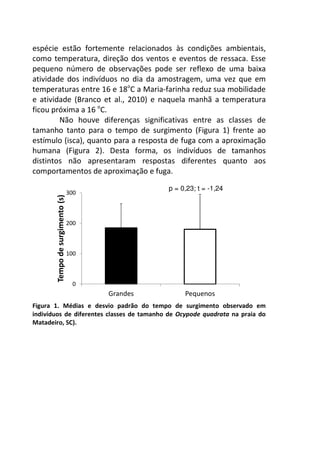 espécie estão fortemente relacionados às condições ambientais, 
como temperatura, direção dos ventos e eventos de ressaca. Esse 
pequeno número de observações pode ser reflexo de uma baixa 
atividade dos indivíduos no dia da amostragem, uma vez que em 
temperaturas entre 16 e 18oC a Maria-farinha reduz sua mobilidade 
e atividade (Branco et al., 2010) e naquela manhã a temperatura 
ficou próxima a 16 oC. 
Não houve diferenças significativas entre as classes de 
tamanho tanto para o tempo de surgimento (Figura 1) frente ao 
estímulo (isca), quanto para a resposta de fuga com a aproximação 
humana (Figura 2). Desta forma, os indivíduos de tamanhos 
distintos não apresentaram respostas diferentes quanto aos 
comportamentos de aproximação e fuga. 
300 
200 
100 
0 
p = 0,23; t = -1,24 
Grandes Pequenos 
Tempo de surgimento (s) 
Figura 1. Médias e desvio padrão do tempo de surgimento observado em 
indivíduos de diferentes classes de tamanho de Ocypode quadrata na praia do 
Matadeiro, SC). 
 
