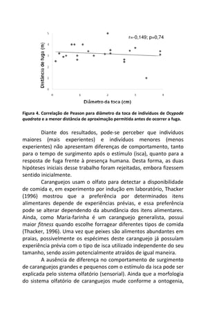 r=-0,149; p=0,74 
Figura 4. Correlação de Peason para diâmetro da toca de indivíduos de Ocypode 
quadrata e a menor distância de aproximação permitida antes de ocorrer a fuga. 
Diante dos resultados, pode-se perceber que indivíduos 
maiores (mais experientes) e indivíduos menores (menos 
experientes) não apresentam diferenças de comportamento, tanto 
para o tempo de surgimento após o estímulo (isca), quanto para a 
resposta de fuga frente à presença humana. Desta forma, as duas 
hipóteses iniciais desse trabalho foram rejeitadas, embora fizessem 
sentido inicialmente. 
Caranguejos usam o olfato para detectar a disponibilidade 
de comida e, em experimento por indução em laboratório, Thacker 
(1996) mostrou que a preferência por determinados itens 
alimentares depende de experiências prévias, e essa preferência 
pode se alterar dependendo da abundância dos itens alimentares. 
Ainda, como Maria-farinha é um caranguejo generalista, possui 
maior fitness quando escolhe forragear diferentes tipos de comida 
(Thacker, 1996). Uma vez que peixes são alimentos abundantes em 
praias, possivelmente os espécimes deste caranguejo já possuíam 
experiência prévia com o tipo de isca utilizado independente do seu 
tamanho, sendo assim potencialmente atraídos de igual maneira. 
A ausência de diferença no comportamento de surgimento 
de caranguejos grandes e pequenos com o estímulo da isca pode ser 
explicada pelo sistema olfatório (sensorial). Ainda que a morfologia 
do sistema olfatório de caranguejos mude conforme a ontogenia, 
 