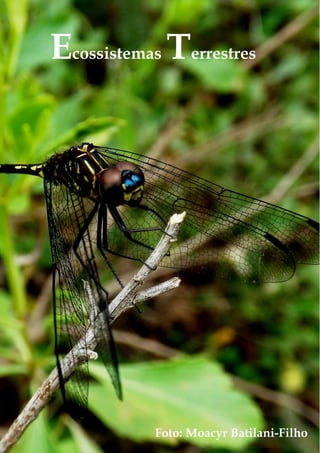 ECOSSISTEMAS TERRESTRES 
Ecossistemas Terrestres 
Ecologia de campo: abordagens no mar, na terra e em águas continentais 
PPG Ecologia UFSC 2013 
79 
Foto: Moacyr Batilani-Filho 
 