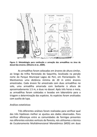 Figura 2. Metodologia para confecção e armação das armadilhas na área de 
dossel das árvores. (Oliveira et al., 2009). 
As armadilhas foram colocadas em árvores de altura similar, 
ao longo da trilha florestada do Saquinho, localizada na porção 
norte do Parque Municipal Lagoa do Peri, em Florianópolis- SC. 
Mantivemos uma distância mínima de 20 m entre árvores 
amostradas. Cada árvore foi amostrada com duas armadilhas no 
solo, uma armadilha amarrada com barbante à altura de 
aproximadamente 1.5 m, e duas no dossel. Após três horas e meia, 
as armadilhas foram coletadas e levadas em laboratório para a 
triagem e determinação das espécies. As espécies foram analisadas 
com auxílio de lupa. 
Análises estatísticas 
Três diferentes análises foram realizadas para verificar qual 
das três hipóteses melhor se ajustou aos dados observados. Para 
verificar diferenças entre as comunidades de formigas presentes 
nos diferentes estratos verticais da floresta, nós utilizamos a técnica 
de Escalonamento Multidimensional Monotômico (MDS) em duas 
 