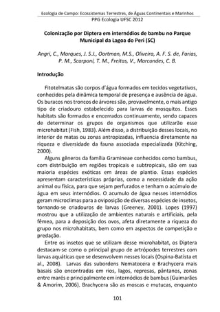 Ecologia de Campo: Ecossistemas Terrestres, de Águas Continentais e Marinhos
PPG Ecologia UFSC 2012
101
Colonização por Diptera em internódios de bambu no Parque
Municipal da Lagoa do Peri (SC)
Angri, C., Marques, J. S.J., Oortman, M.S., Oliveira, A. F. S. de, Farias,
P. M., Scarponi, T. M., Freitas, V., Marcondes, C. B.
Introdução
Fitotelmatas são corpos d’água formados em tecidos vegetativos,
conhecidos pela dinâmica temporal de presença e ausência de água.
Os buracos nos troncos de árvores são, provavelmente, o mais antigo
tipo de criadouro estabelecido para larvas de mosquitos. Esses
habitats são formados e encerrados continuamente, sendo capazes
de determinar os grupos de organismos que utilizarão esse
microhabitat (Fish, 1983). Além disso, a distribuição desses locais, no
interior de matas ou zonas antropizadas, influencia diretamente na
riqueza e diversidade da fauna associada especializada (Kitching,
2000).
Alguns gêneros da família Gramineae conhecidos como bambus,
com distribuição em regiões tropicais e subtropicais, são em sua
maioria espécies exóticas em áreas de plantio. Essas espécies
apresentam características próprias, como a necessidade da ação
animal ou física, para que sejam perfurados e tenham o acúmulo de
água em seus internódios. O acumulo de água nesses internódios
geram microclimas para a oviposição de diversas espécies de insetos,
tornando-se criadouros de larvas (Greeney, 2001). Lopes (1997)
mostrou que a utilização de ambientes naturais e artificiais, pela
fêmea, para a deposição dos ovos, afeta diretamente a riqueza do
grupo nos microhabitats, bem como em aspectos de competição e
predação.
Entre os insetos que se utilizam desse microhabitat, os Diptera
destacam-se como o principal grupo de artrópodes terrestres com
larvas aquáticas que se desenvolvem nesses locais (Ospina-Batista et
al., 2008). Larvas das subordens Nematocera e Brachycera mais
basais são encontradas em rios, lagos, represas, pântanos, zonas
entre marés e principalmente em internódios de bambus (Guimarães
& Amorim, 2006). Brachycera são as moscas e mutucas, enquanto
 