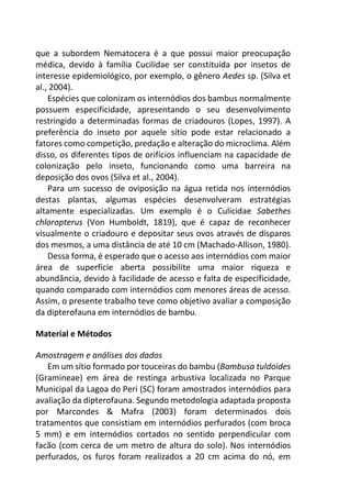 que a subordem Nematocera é a que possui maior preocupação
médica, devido à família Cucilidae ser constituída por insetos de
interesse epidemiológico, por exemplo, o gênero Aedes sp. (Silva et
al., 2004).
Espécies que colonizam os internódios dos bambus normalmente
possuem especificidade, apresentando o seu desenvolvimento
restringido a determinadas formas de criadouros (Lopes, 1997). A
preferência do inseto por aquele sítio pode estar relacionado a
fatores como competição, predação e alteração do microclima. Além
disso, os diferentes tipos de orifícios influenciam na capacidade de
colonização pelo inseto, funcionando como uma barreira na
deposição dos ovos (Silva et al., 2004).
Para um sucesso de oviposição na água retida nos internódios
destas plantas, algumas espécies desenvolveram estratégias
altamente especializadas. Um exemplo é o Culicidae Sabethes
chloropterus (Von Humboldt, 1819), que é capaz de reconhecer
visualmente o criadouro e depositar seus ovos através de disparos
dos mesmos, a uma distância de até 10 cm (Machado-Allison, 1980).
Dessa forma, é esperado que o acesso aos internódios com maior
área de superficie aberta possibilite uma maior riqueza e
abundância, devido à facilidade de acesso e falta de especificidade,
quando comparado com internódios com menores áreas de acesso.
Assim, o presente trabalho teve como objetivo avaliar a composição
da dipterofauna em internódios de bambu.
Material e Métodos
Amostragem e análises dos dados
Em um sítio formado por touceiras do bambu (Bambusa tuldoides
(Gramineae) em área de restinga arbustiva localizada no Parque
Municipal da Lagoa do Peri (SC) foram amostrados internódios para
avaliação da dipterofauna. Segundo metodologia adaptada proposta
por Marcondes & Mafra (2003) foram determinados dois
tratamentos que consistiam em internódios perfurados (com broca
5 mm) e em internódios cortados no sentido perpendicular com
facão (com cerca de um metro de altura do solo). Nos internódios
perfurados, os furos foram realizados a 20 cm acima do nó, em
 