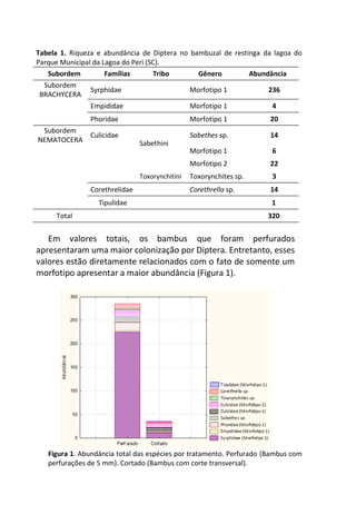 Tabela 1. Riqueza e abundância de Diptera no bambuzal de restinga da lagoa do
Parque Municipal da Lagoa do Peri (SC).
Subordem Famílias Tribo Gênero Abundância
Subordem
BRACHYCERA
Syrphidae Morfotipo 1 236
Empididae Morfotipo 1 4
Phoridae Morfotipo 1 20
Subordem
NEMATOCERA
Culicidae
Sabethini
Sabethes sp. 14
Morfotipo 1 6
Morfotipo 2 22
Toxorynchitini Toxorynchites sp. 3
Corethrelidae Corethrella sp. 14
Tipulidae 1
Total 320
Em valores totais, os bambus que foram perfurados
apresentaram uma maior colonização por Diptera. Entretanto, esses
valores estão diretamente relacionados com o fato de somente um
morfotipo apresentar a maior abundância (Figura 1).
Figura 1. Abundância total das espécies por tratamento. Perfurado (Bambus com
perfurações de 5 mm). Cortado (Bambus com corte transversal).
 