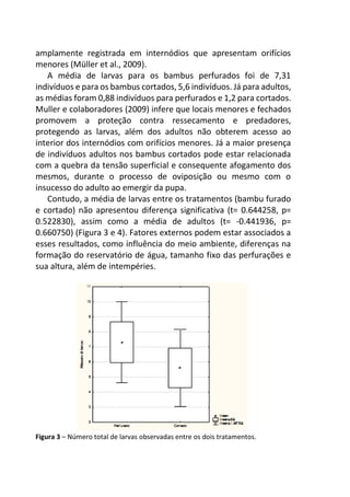 amplamente registrada em internódios que apresentam orifícios
menores (Müller et al., 2009).
A média de larvas para os bambus perfurados foi de 7,31
indivíduos e para os bambus cortados, 5,6 indivíduos. Já para adultos,
as médias foram 0,88 indivíduos para perfurados e 1,2 para cortados.
Muller e colaboradores (2009) infere que locais menores e fechados
promovem a proteção contra ressecamento e predadores,
protegendo as larvas, além dos adultos não obterem acesso ao
interior dos internódios com orifícios menores. Já a maior presença
de indivíduos adultos nos bambus cortados pode estar relacionada
com a quebra da tensão superficial e consequente afogamento dos
mesmos, durante o processo de oviposição ou mesmo com o
insucesso do adulto ao emergir da pupa.
Contudo, a média de larvas entre os tratamentos (bambu furado
e cortado) não apresentou diferença significativa (t= 0.644258, p=
0.522830), assim como a média de adultos (t= -0.441936, p=
0.660750) (Figura 3 e 4). Fatores externos podem estar associados a
esses resultados, como influência do meio ambiente, diferenças na
formação do reservatório de água, tamanho fixo das perfurações e
sua altura, além de intempéries.
Figura 3 – Número total de larvas observadas entre os dois tratamentos.
 