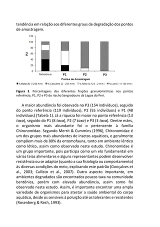 tendência em relação aos diferentes graus de degradação dos pontos
de amostragem.
Figura 3. Porcentagens das diferentes frações granulométricas nos pontos
referência, P1, P2 e P3 do riacho Sangradouro da Lagoa do Peri.
A maior abundância foi obsevada no P3 (154 indivíduos), seguido
do ponto referência (119 indivíduos), P2 (55 indivíduos) e P1 (48
indivíduos) (Tabela 1). Já a riqueza foi maior no ponto referência (13
taxa), seguido do P1 (8 taxa), P2 (7 taxa) e P3 (3 taxa). Dentre estes,
o organismo mais abundante foi o pertencente à família
Chironomidae. Segundo Merrit & Cummins (1996), Chironomidae é
um dos grupos mais abundantes de insetos aquáticos, e geralmente
compõem mais de 80% da entomofauna, tanto em ambiente lêntico
como lótico, assim como observado neste estudo. Chironomidae é
um grupo importante, pois participa como um elo fundamental em
várias teias alimentares e alguns representantes podem desenvolver
resistência ou se adaptar (quanto a sua fisiologia ou comportamento)
às diversas condições do meio, explicando este padrão (Gonçalves et
al., 2003; Callisto et al., 2007). Outro aspecto importante, em
ambientes degradados são encontrados poucos taxa na comunidade
bentônica, porém com elevada abundância, assim como foi
observado neste estudo. Assim, é importante encontrar uma ampla
variedade de organismos para atestar a saúde ambiental do corpo
aquático, desde os sensíveis à poluição até os tolerantes e resistentes
(Rosenberg & Resh, 1993).
 