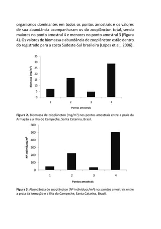 organismos dominantes em todos os pontos amostrais e os valores
de sua abundância acompanharam os do zooplâncton total, sendo
maiores no ponto amostral 4 e menores no ponto amostral 3 (Figura
4). Os valores de biomassa e abundância de zooplâncton estão dentro
do registrado para a costa Sudeste-Sul brasileira (Lopes et al., 2006).
Figura 2. Biomassa de zooplâncton (mg/m3) nos pontos amostrais entre a praia da
Armação e a Ilha do Campeche, Santa Catarina, Brasil.
Figura 3. Abundância de zooplâncton (Nº indivíduos/m3) nos pontos amostrais entre
a praia da Armação e a Ilha do Campeche, Santa Catarina, Brasil.
0
5
10
15
20
25
30
35
1 2 3 4
Biomassa(mg/m3)
Pontos amostrais
0
100
200
300
400
500
600
1 2 3 4
Nºindivíduos/m3
Pontos amostrais
 