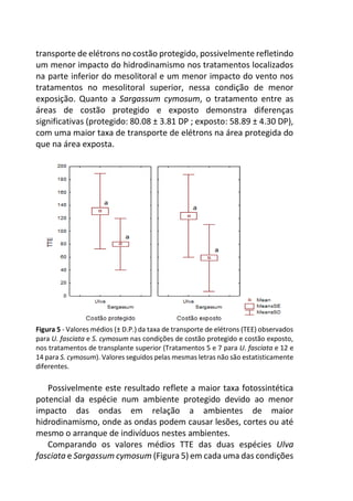 transporte de elétrons no costão protegido, possivelmente refletindo
um menor impacto do hidrodinamismo nos tratamentos localizados
na parte inferior do mesolitoral e um menor impacto do vento nos
tratamentos no mesolitoral superior, nessa condição de menor
exposição. Quanto a Sargassum cymosum, o tratamento entre as
áreas de costão protegido e exposto demonstra diferenças
significativas (protegido: 80.08 ± 3.81 DP ; exposto: 58.89 ± 4.30 DP),
com uma maior taxa de transporte de elétrons na área protegida do
que na área exposta.
Figura 5 - Valores médios (± D.P.) da taxa de transporte de elétrons (TEE) observados
para U. fasciata e S. cymosum nas condições de costão protegido e costão exposto,
nos tratamentos de transplante superior (Tratamentos 5 e 7 para U. fasciata e 12 e
14 para S. cymosum). Valores seguidos pelas mesmas letras não são estatisticamente
diferentes.
Possivelmente este resultado reflete a maior taxa fotossintética
potencial da espécie num ambiente protegido devido ao menor
impacto das ondas em relação a ambientes de maior
hidrodinamismo, onde as ondas podem causar lesões, cortes ou até
mesmo o arranque de indivíduos nestes ambientes.
Comparando os valores médios TTE das duas espécies Ulva
fasciata e Sargassum cymosum (Figura 5) em cada uma das condições
 