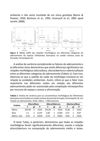 ambiente e não como resultado de um único genótipo (Barne &
Poweel, 1950; Bertness et al., 1991; Arsenault et al., 2001 apud
Jarrett, 2008).
Figura 3. Média (±DP) das relações morfológicas em diferentes categorias de
adensamento da espécie Chthamalus bisinuatus no costão rochoso praia da
Armação, Florianópolis-SC.
A análise de variância considerando os fatores de adensamento e
as diferentes áreas demonstrou que existe diferença significativa nas
relações morfológicas (altura/base, altura/abertura e abertura/base)
entre as diferentes categorias de adensamento (Tabela 1). Com isso,
observou-se que o padrão da razão da morfologia manteve-se em
relação às condições ambientais. Assim, infere-se que o fator mais
importante nas diferentes razões em relação aos diferentes
adensamentos pode ser ocasionado pela competição intraespecífica
por recursos de espaço e acesso a alimentação.
Tabela 1. Análise de variância para as características morfológicas de Chthamalus
bisinuatus encontradas no costão rochoso da praia da Armação, Florianópolis-SC, em
relação ao adensamento. Onde: Adens. = Adensamento.
Critério
Altura/Base Altura/Aberura. Abertura/Base
F gl P F gl p F gl P
Adens. 235.89 2 <0,01 152,65 2 <0,01 31,82 2 <0,01
Área 2.1 1 0,147 1,60 1 0,205 3,37 1 0,07
Adens.: real 3.43 2 0,033 0,19 2 0,823 9,44 2 <0,01
O teste Tukey, a posteriori, demonstrou que todas as relações
morfológicas foram significativamente diferentes, exceto a relação
altura/abertura na comparação de adensamento médio e baixo,
 