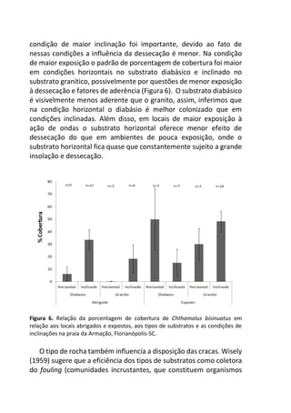 condição de maior inclinação foi importante, devido ao fato de
nessas condições a influência da dessecação é menor. Na condição
de maior exposição o padrão de porcentagem de cobertura foi maior
em condições horizontais no substrato diabásico e inclinado no
substrato granítico, possivelmente por questões de menor exposição
à dessecação e fatores de aderência (Figura 6). O substrato diabásico
é visivelmente menos aderente que o granito, assim, inferimos que
na condição horizontal o diabásio é melhor colonizado que em
condições inclinadas. Além disso, em locais de maior exposição à
ação de ondas o substrato horizontal oferece menor efeito de
dessecação do que em ambientes de pouca exposição, onde o
substrato horizontal fica quase que constantemente sujeito a grande
insolação e dessecação.
Figura 6. Relação da porcentagem de cobertura de Chthamalus bisinuatus em
relação aos locais abrigados e expostos, aos tipos de substratos e as condições de
inclinações na praia da Armação, Florianópolis-SC.
O tipo de rocha também influencia a disposição das cracas. Wisely
(1959) sugere que a eficiência dos tipos de substratos como coletora
do fouling (comunidades incrustantes, que constituem organismos
 