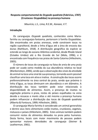Resposta comportamental de Ocypode quadrata (Fabricius, 1787)
(Crustacea: Ocypodidae) na presença humana
Maurício, L.S., Lima, R.E.M., Kanaan, V.T.
Introdução
Os caranguejos Ocypode quadrata, conhecidos como Maria-
farinha ou caranguejos-fantasma, pertencem à família Ocypodidae.
São encontrados em praias arenosas, onde constroem tocas na
região supralitoral, desde a linha d’água até a área de encosta das
dunas (Rathbum, 1918). A distribuição geográfica da espécie se
estende ao longo do oceano Atlântico ocidental, desde Rhode Island
(Estados Unidos) até o Rio Grande do Sul (Melo, 1996), e é
encontrada com frequência nas praias de Santa Catarina (Hillesheim,
2005).
O número de tocas do caranguejo na faixa de areia de uma praia
pode ser usado como medida da sua abundância relativa no local
(Blankensteyn, 2006), sendo que a observação dos sinais da atividade
do animal na toca uma sinal de sua presença, tornando assim possível
classificar uma toca em ativa e inativa. A construção das tocas ocorre
preferencialmente na área central da praia, sendo que próximo à
linha d’água, as tocas diminuem em abundância e em diâmetro. A
distribuição das tocas também pode estar relacionada à
disponibilidade de alimentos. Assim, a presença de insetos na
vegetação próxima à praia, restos de peixes espalhados na areia
devido a ressacas e marés altas e até mesmo a presença humana
podem influenciar a distribuição das tocas de Ocypode quadrata
(Alberto & Fontoura, 1999; Hillesheim, 2005).
O caranguejo Maria-farinha é considerado um animal generalista
e dentre seus itens alimentares estão insetos, crustáceos, vegetais,
moluscos e peixes (Hillesheim, 2005). Estes animais também podem
consumir restos de alimentos deixados na praia pelos humanos.
Desta forma, locais com maior movimento de pessoas podem
apresentar maiores densidades do caranguejo (Steiner &
Leatherman, 1981).
 