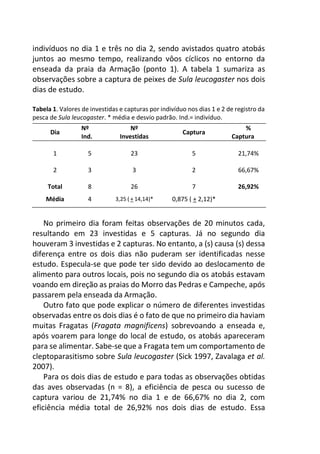 indivíduos no dia 1 e três no dia 2, sendo avistados quatro atobás
juntos ao mesmo tempo, realizando vôos cíclicos no entorno da
enseada da praia da Armação (ponto 1). A tabela 1 sumariza as
observações sobre a captura de peixes de Sula leucogaster nos dois
dias de estudo.
Tabela 1. Valores de investidas e capturas por indivíduo nos dias 1 e 2 de registro da
pesca de Sula leucogaster. * média e desvio padrão. Ind.= indivíduo.
Dia
Nº
Ind.
Nº
Investidas
Captura
%
Captura
1 5 23 5 21,74%
2 3 3 2 66,67%
Total 8 26 7 26,92%
Média 4 3,25 ( + 14,14)* 0,875 ( + 2,12)*
No primeiro dia foram feitas observações de 20 minutos cada,
resultando em 23 investidas e 5 capturas. Já no segundo dia
houveram 3 investidas e 2 capturas. No entanto, a (s) causa (s) dessa
diferença entre os dois dias não puderam ser identificadas nesse
estudo. Especula-se que pode ter sido devido ao deslocamento de
alimento para outros locais, pois no segundo dia os atobás estavam
voando em direção as praias do Morro das Pedras e Campeche, após
passarem pela enseada da Armação.
Outro fato que pode explicar o número de diferentes investidas
observadas entre os dois dias é o fato de que no primeiro dia haviam
muitas Fragatas (Fragata magnificens) sobrevoando a enseada e,
após voarem para longe do local de estudo, os atobás apareceram
para se alimentar. Sabe-se que a Fragata tem um comportamento de
cleptoparasitismo sobre Sula leucogaster (Sick 1997, Zavalaga et al.
2007).
Para os dois dias de estudo e para todas as observações obtidas
das aves observadas (n = 8), a eficiência de pesca ou sucesso de
captura variou de 21,74% no dia 1 e de 66,67% no dia 2, com
eficiência média total de 26,92% nos dois dias de estudo. Essa
 