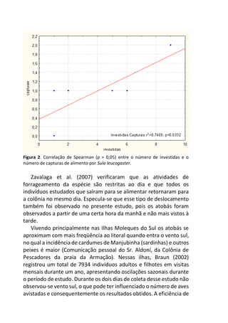 Figura 2. Correlação de Spearman (p = 0,05) entre o número de investidas e o
número de capturas de alimento por Sula leucogaster.
Zavalaga et al. (2007) verificaram que as atividades de
forrageamento da espécie são restritas ao dia e que todos os
indivíduos estudados que saíram para se alimentar retornaram para
a colônia no mesmo dia. Especula-se que esse tipo de deslocamento
também foi observado no presente estudo, pois os atobás foram
observados a partir de uma certa hora da manhã e não mais vistos à
tarde.
Vivendo principalmente nas Ilhas Moleques do Sul os atobás se
aproximam com mais freqüência ao litoral quando entra o vento sul,
no qual a incidência de cardumes de Manjubinha (sardinhas) e outros
peixes é maior (Comunicação pessoal do Sr. Aldoní, da Colônia de
Pescadores da praia da Armação). Nessas ilhas, Braun (2002)
registrou um total de 7934 indivíduos adultos e filhotes em visitas
mensais durante um ano, apresentando oscilações sazonais durante
o período de estudo. Durante os dois dias de coleta desse estudo não
observou-se vento sul, o que pode ter influenciado o número de aves
avistadas e consequentemente os resultados obtidos. A eficiência de
 