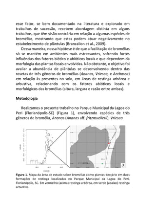 esse fator, se bem documentado na literatura e explorado em
trabalhos de sucessão, recebem abordagem distinta em alguns
trabalhos, que têm visão contrária em relação a algumas espécies de
bromélias, mostrando que estas podem atuar negativamente no
estabelecimento de plântulas (Brancalion et al., 2009).
Dessa maneira, nossa hipótese é de que a facilitação de bromélias
só se mantém em ambientes mais estressantes, sofrendo fortes
influências dos fatores biótico e abióticos locais e que dependem da
morfologia das plantas focais envolvidas. Não obstante, o objetivo foi
avaliar a abundância de plântulas se desenvolvendo dentro das
rosetas de três gêneros de bromélias (Ananas, Vriesea, e Aechmea)
em relação às presentes no solo, em áreas de restinga arbórea e
arbustiva, relacionando com os fatores abióticos locais e
morfológicos das bromélias (altura, largura e razão entre ambas).
Metodologia
Realizamos o presente trabalho no Parque Municipal da Lagoa do
Peri (Florianópolis-SC) (Figura 1), envolvendo espécies de três
gêneros de bromélia, Ananas (Ananas aff. fritzmuellerii), Vriesea
Figura 1. Mapa da área de estudo sobre bromélias como plantas-berçário em duas
formações de restinga localizadas no Parque Municipal da Lagoa do Peri,
Florianópolis, SC. Em vermelho (acima) restinga arbórea, em verde (abaixo) restinga
arbustiva.
 