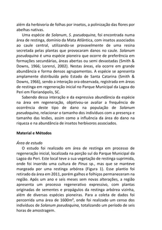 além da herbivoria de folhas por insetos, a polinização das flores por
abelhas nativas.
Uma espécie de Solanum, S. pseudoquina, foi encontrada numa
área de restinga, domínio da Mata Atlântica, com insetos associados
ao caule central, utilizando-se provavelmente de uma resina
secretada pelas plantas que provocaram danos no caule. Solanum
pseudoquina é uma espécie pioneira que ocorre de preferência em
formações secundárias, áreas abertas ou semi devastadas (Smith &
Downs, 1966; Lorenzi, 2002). Nestas áreas, ela ocorre em grande
abundância e forma densos agrupamentos. A espécie se apresenta
amplamente distribuída pelo Estado de Santa Catarina (Smith &
Downs, 1966), sendo a interação ora observada, registrada em áreas
de restinga em regeneração inicial no Parque Municipal da Lagoa do
Peri em Florianópolis, SC.
Sabendo dessa interação e da expressiva abundância da espécie
na área em regeneração, objetivou-se avaliar a frequência de
ocorrência deste tipo de dano na população de Solanum
pseudoquina, relacionar o tamanho dos indivíduos com a presença e
tamanho das lesões, assim como a influência da área do dano na
riqueza e na abundância de insetos herbívoros associados.
Material e Métodos
Área de estudo
O estudo foi realizado em área de restinga em processo de
regeneração inicial, localizada na porção sul do Parque Municipal da
Lagoa do Peri. Este local teve a sua vegetação de restinga suprimida,
onde foi inserido uma cultura de Pinus sp., mas que se manteve
margeada por uma restinga arbórea (Figura 1). Esse plantio foi
retirado da área em 2011, porém galhos e folhiços permaneceram na
região. Após um ano e seis meses sem novas alterações, a região
apresenta um processo regenerativo expressivo, com plantas
originadas de sementes e propágulos da restinga arbórea vizinha,
além de diversas espécies pioneiras. Para a coleta de dados foi
percorrida uma área de 1600m², onde foi realizado um censo dos
indivíduos de Solanum pseudoquina, totalizando um período de seis
horas de amostragem.
 