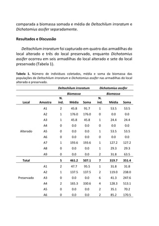 comparada a biomassa somada e média de Deltochilum irroratum e
Dichotomius assifer separadamente.
Resultados e Discussão
Deltochilum irroratum foi capturado em quatro das armadilhas do
local alterado e três do local preservado, enquanto Dichotomius
assifer ocorreu em seis armadilhas do local alterado e sete do local
preservado (Tabela 1).
Tabela 1. Número de indivíduos coletados, média e soma da biomassa das
populações de Deltochilum irroratum e Dichotomius assifer nas armadilhas do local
alterado e preservado.
Deltochilum irroratum Dichotomius assifer
Biomassa Biomassa
Local Amostra
N.
ind. Média Soma
N.
ind. Média Soma
A1 2 45.8 91.7 1 53.5 53.5
A2 1 176.0 176.0 0 0.0 0.0
A3 1 45.8 45.8 1 24.4 24.4
A4 0 0.0 0.0 0 0.0 0.0
Alterado A5 0 0.0 0.0 1 53.5 53.5
A6 0 0.0 0.0 0 0.0 0.0
A7 1 193.6 193.6 1 127.2 127.2
A8 0 0.0 0.0 1 29.3 29.3
A9 0 0.0 0.0 2 31.8 63.5
Total 5 461.2 507.1 7 319.7 351.4
A1 2 47.7 95.5 1 31.8 31.8
A2 1 137.5 137.5 2 119.0 238.0
Preservado A3 0 0.0 0.0 6 41.3 247.6
A4 2 165.3 330.6 4 128.3 513.1
A5 0 0.0 0.0 2 35.1 70.2
A6 0 0.0 0.0 2 85.2 170.5
 