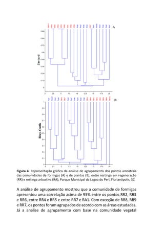 Figura 4. Representação gráfica da análise de agrupamento dos pontos amostrais
das comunidades de formigas (A) e de plantas (B), entre restinga em regeneração
(RR) e restinga arbustiva (RA), Parque Municipal da Lagoa do Peri, Florianópolis, SC.
A análise de agrupamento mostrou que a comunidade de formigas
apresentou uma correlação acima de 95% entre os pontos RR2, RR3
e RR6, entre RR4 e RR5 e entre RR7 e RA1. Com exceção de RR8, RR9
e RR7, os pontos foram agrupados de acordo com as áreas estudadas.
Já a análise de agrupamento com base na comunidade vegetal
 