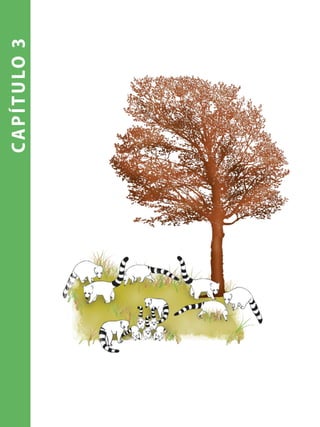 capítulo3
 
