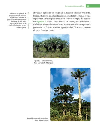 43Parâmetros demográficos
atividades agrícolas ao longo da Amazônia oriental brasileira.
Imagine também as dificuldades para se estudar populações cuja
espécie tem uma ampla distribuição, como o exemplo das abelhas
do capítulo 2. Assim, para resolver as limitações como tempo,
dinheiro e mesmo de mão de obra, podemos estudar uma parte da
população ou de uma amostra representativa. Nesse caso usamos
técnicas de amostragem.
Figura 3.2 – Butia catarinensis.
(Foto: Leonardo K. A. Sampaio)
Figura 3.3 – Araucaria angustifolia.
(Foto: Nivaldo Peroni)
Lembre-se das questões de
escala do capítulo passado.
Aqui estamos tratando de
populações e podemos pensar
nos limites de uma única
população, de várias ou de
todas as populações de uma
mesma espécie.
 
