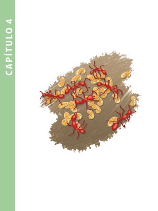 capítulo4
 