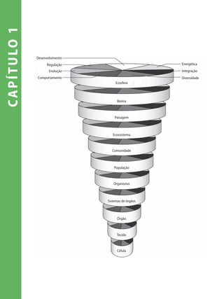capítulo1
Célula
Tecido
Órgão
Sistemas de órgãos
Organismo
População
Comunidade
Ecossistema
Paisagem
Bioma
Ecosfera
Regulação
Desenvolvimento
Evolução
Energética
Comportamento Diversidade
Integração
 