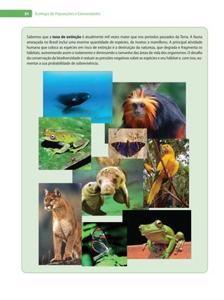 84 Ecologia de Populações e Comunidades
Sabemos que a taxa de extinção é atualmente mil vezes maior que nos períodos passados da Terra. A fauna
ameaçada no Brasil inclui uma enorme quantidade de espécies, de insetos a mamíferos. A principal atividade
humana que coloca as espécies em risco de extinção é a destruição da natureza, que degrada e fragmenta os
hábitats, aumentando assim o isolamento e diminuindo o tamanho das áreas de vida dos organismos. O desafio
da conservação da biodiversidade é reduzir as pressões negativas sobre as espécies e seu hábitat e, com isso, au-
mentar a sua probabilidade de sobrevivência.
 