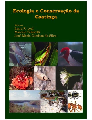 Ecologia e Conservação da
Caatinga
Editores
Inara R. Leal
Marcelo Tabarelli
José Maria Cardoso da Silva
 