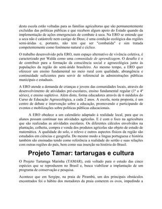 desta escola estão voltadas para as famílias agricultoras que são permanentemente
excluídas das políticas públicas e que recebem algum apoio do Estado quando da
implementação de ações emergenciais de combate à seca. Na ERO se entende que
a seca não é catástrofe nem castigo de Deus; é uma condição ecológica das regiões
semi-áridas e, portanto, não tem que ser "combatida" e sim tratada
competentemente como fenômeno natural e cíclico.
O trabalho desenvolvido pela ERO, num espaço alternativo de vivência coletiva, é
caracterizado por Walda como uma comunidade de aprendizagem. O desafio é o
de contribuir para a formação da consciência social e agroecológica junto às
populações da região do semi-árido brasileiro. Ao mesmo tempo, a ERO quer
oferecer um ensino fundamental no meio rural com qualidade, abrangência e
continuidade suficientes para servir de referencial às administrações públicas
municipais e estaduais.
A ERO atende a demanda de crianças e jovens das comunidades locais, através do
desenvolvimento de atividades pré-escolares, ensino fundamental regular (1ª a 4ª
séries), e ensino supletivo. Além disto, forma educadores através de 6 módulos do
Curso de Educação Agroecológica, a cada 2 anos. A escola, nesta proposta, é um
centro de debate e intervenção sobre a educação, promovendo e participando de
eventos e mobilizações sobre políticas públicas educacionais.
A ERO obedece a um calendário adaptado à realidade local, para que os
alunos possam continuar nas atividades agrícolas. E é com o foco na agricultura
que são realizadas as atividades escolares. Os diferentes cálculos envolvidos na
plantação, colheita, compra e venda dos produtos agrícolas são objeto de estudo de
matemática. A qualidade do solo, o relevo e outros aspectos físicos da região são
estudados em ciências e geografia. Do mesmo modo a lingua portuguesa e história
também são ensinadas tendo como referência a realidade do sertão e suas relações
com outras regiões do país, bem como sua inserção na história do Brasil.
Projeto Tamar: tartarugas e cultura
O Projeto Tartaruga Marinha (TAMAR), está voltado para o estudo das cinco
espécies que se reproduzem no Brasil e, busca viabilizar a implantação de um
programa de conservação e pesquisa.
Acontece que em Sergipe, na praia de Pirambú, um dos principais obstáculos
encontrados foi o hábito dos moradores da praia comerem os ovos, impedindo a
 