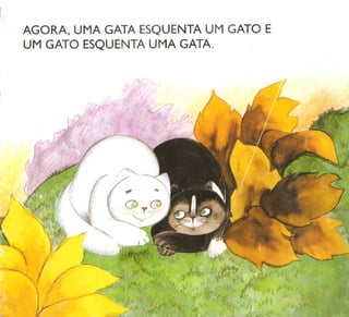 Livro gato-com-frio