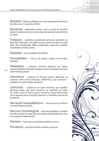 Noções Morfológicas e Taxonômicas para Identificação Botânica
110
Brácteas– folhas modificadas em cuja axila geralmente nasce
uma flor ou um conjunto de flores.
Domácias – depressões, bolsas, sacos ou tufos de tricomas
(pelos) na axila da nervura central, ápice do pecíolo, base do limbo
ou ramo.
Estípulas – apêndices geralmente laminares presentes na
base foliar (pecíolo) e, em geral, são em número de dois em cada
folha. São consideradas folhas modificadas e possuem a função
de proteger as folhas jovens.
Estipelas – são as estípulas dos folíolos.
Gamopétalas – trata-se de pétalas unidas, concrescidas,
fundidas.
Hidatódios – estrutura secretora presente nas folhas,
responsável pela eliminação de água na forma líquida, fenômeno
denominado gutação.
Indumento – conjunto de tricomas (pelos), glândulas ou
escamas, entre outras estruturas epidérmicas, que revestem a
superfície de vários órgãos da planta.
Lenticelas – origina-se do latim lenticela, que significa
pequena janela. São áreas lacunosas na superfície do súber
de caules, raízes e outras partes da planta, responsáveis pelas
trocas gasosas entre os tecidos internos e a atmosfera, através da
periderme.
Nervação broquidódroma – nervuras que se fecham
na extremidade do limbo.
Nervura intramarginal – nervuras paralelas à margem
da folha a partir da união das secundárias broquidódromas, mas
com aspecto independente.
Pecíolos – haste que une a lâmina da folha ao ramo.
Peciólulos – pecíolo do folíolo na folha composta.
 