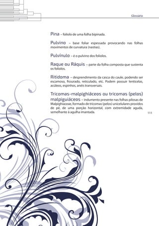 Glossário
111
Pina – folíolo de uma folha bipinada.
Pulvino – base foliar espessada provocando nas folhas
movimentos de curvatura (nastias).
Pulvínulo – é o pulvino dos folíolos.
Raque ou Ráquis – parte da folha composta que sustenta
os folíolos.
Ritidoma – desprendimento da casca do caule, podendo ser
escamoso, fissurado, reticulado, etc. Podem possuir lenticelas,
acúleos, espinhos, anéis transversais.
Tricomas-malpighiáceos ou tricomas (pelos)
malpiguiáceos – indumento presente nas folhas pilosas de
Malpighiaceae, formado de tricomas (pelos) unicelulares providos
de pé, de uma porção horizontal, com extremidade aguda,
semelhante à agulha imantada.
 