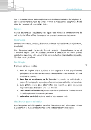 Introdução à botânica
13
Obs.: Existem raízes que não se originam da radícula do embrião ou da raiz principal,
as quais geralmente surgem do caule e formam as raízes aéreas das plantas. Neste
caso, são chamadas de raízes adventícias.
Funções
Fixação da planta ao solo; absorção de água e sais minerais e armazenamento de
nutrientes (amido e sais) na forma suberosa (macaxeira, cenoura, beterraba).
Importância
Alimentar (mandioca, cenoura); medicinal (andiroba, copaíba) e industrial (patchouli,
cipó-tuíra).
Obs.: Algumas espécies (taperebá – Spondias mombin L., Anacardiaceae – e bacuri
– Platonia insignis Mart., Clusiaceae) possuem a capacidade de emitir gemas
vegetativas a partir de raízes, originando novos indivíduos (reprodução assexuada).
São ditas raízes gemíferas.
Constituição
É formada por cinco regiões:
1.	 Coifa ou caliptra: reveste e protege o cone vegetativo da raiz, proporcionando
proteção ao tecido meristemático contra o atrito durante o crescimento da raiz e da
transpiração excessiva.
2.	 Zona lisa, de crescimento ou de distensão: é a região de multiplicação e
desenvolvimento celular, responsável pelo crescimento da raiz (região meristemática).
3.	 Zona pilífera ou dos pelos absorventes: área revestida de pelos absorventes
responsáveis pela absorção de água e sais minerais.
4.	 Zona suberosa ou de ramificação: local onde há o surgimento das raízes secundárias
(radicelas), promovendo a ramificação da raiz.
5.	 Colo, coleto ou nó vital: região de transição entre o caule e a raiz.
Classificação quanto ao habitat
As raízes quanto ao habitat podem ser subterrâneas (terrestres), aéreas ou aquáticas
e apresentam as mais variadas formas, como pode ser observado a seguir.
 