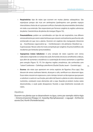 Introdução à botânica
15
•	 Respiratórias: tipo de raízes que ocorrem em muitas plantas subaquáticas. São
esponjosas porque são ricas em aerênquima (parênquima com grandes espaços
intercelulares cheios de ar) e possuem orifícios chamados de pneumatódios (lenticelas)
em toda a sua extensão. São responsáveis por fornecer oxigênio às regiões submersas
da planta. Características de plantas do mangue (Figura 1G).
•	 Pneumatóforos: podem ser considerados um tipo de raiz respiratória, mas diferem
estruturalmente por serem raízes lenhosas que crescem verticalmente para fora do solo
encharcado em que vive a planta. Ocorrem em espécies dos manguezais (Avicennia
sp. – Acanthaceae; Laguncularia sp. – Combretaceae) e de pântanos (Taxodium sp. –
Cupressaceae). Nesses solos há muita competição por oxigênio. Os pneumatóforos são
recobertos por lenticelas (pneumatódios).
•	 Sapopemas (raízes tabulares): é uma variação de raízes suportes com ramos
radiculares originando-se na base do caule, formando estruturas semelhantes a tábuas,
que além de aumentar a resistência e a sustentação do tronco aumentam a superfície
para aeração (Figura 1E; 1F). Em algumas regiões amazônicas, são conhecidas com
“catana”(cedrorana – Cedrelinga cateniformis (Ducke) Ducke, tauari – Couratari spp.).
•	 Escoras: são raízes que aparecem em certas espécies de figueiras (Ficus spp.). Elas
descem de ramos caulinares laterais, alcançam o solo, ramificam-se e absorvem água.
Essas raízes crescem em espessura e, com o tempo, tornam-se tão espessas que passam
a substituir o caule em sua função, pois além de fixarem a planta no solo e absorverem
nutrientes, conduzem esses elementos até a copa. Quando já existem muitas raízes
desenvolvidas, o caule pode desaparecer, ficando a copa totalmente escorada em
raízes.
Aquáticas
Ocorrem nas plantas que se desenvolvem na água, como por exemplo vitória-régia
– Victoria amazonica (Poepp.) J.C. Sowerby (Nymphaeaceae) – e aguapé – Eichhornia
azurea (Sw.) Kunth (Pontederiaceae).
 