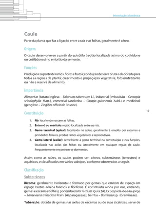 Introdução à botânica
17
Caule
Parte da planta que faz a ligação entre a raiz e as folhas, geralmente é aéreo.
Origem
O caule desenvolve-se a partir do epicótilo (região localizada acima do cotilédone
ou cotilédones) no embrião da semente.
Funções
Produçãoesuportederamos,floresefrutos;conduçãodeseivabrutaeelaboradapara
todas as regiões da planta; crescimento e propagação vegetativa; fotossintetizante
ou não e reserva de alimento.
Importância
Alimentar (batata inglesa – Solanum tuberosum L.), industrial (imbaubão – Cecropia
sciadophylla Mart.), comercial (andiroba – Carapa guianensis Aubl.) e medicinal
(gengibre – Zingiber officinale Roscoe).
Constituição
1.	 	Nó: local onde nascem as folhas.
2.	 	Entrenó ou meritalo: região localizada entre os nós.
3.	 	Gema terminal (apical): localizada no ápice, geralmente é envolta por escamas e
primórdios foliares, produz ramos vegetativos e reprodutivos.
4.	 	Gema lateral (axilar): semelhante à gema terminal na constituição e nas funções,
localizada nas axilas das folhas ou lateralmente em qualquer região do caule.
Frequentemente encontram-se dormentes.
Assim como as raízes, os caules podem ser: aéreos, subterrâneos (terrestres) e
aquáticos, e classificados em vários subtipos, conforme observados a seguir.
Classificação
Subterrâneos
Rizoma: geralmente horizontal e formado por gemas que emitem de espaço em
espaço brotos aéreos foliosos e floríferos. É constituído ainda por nós, entrenós,
gemaseescamas(folhas),podendoemitirraízes(Figura2A).Ex.:espada-de-são-jorge
– Sansevieria trifasciata Prain (Asparagaceae); bambu – Bambusa sp. (Gramineae).
Tubérculo: dotado de gemas nas axilas de escamas ou de suas cicatrizes, serve de
 