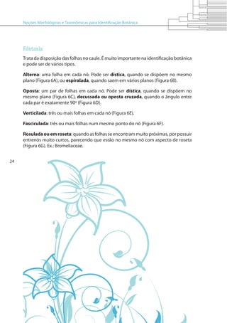 Noções Morfológicas e Taxonômicas para Identificação Botânica
24
Filotaxia
Trata da disposição das folhas no caule. É muito importante na identificação botânica
e pode ser de vários tipos.
Alterna: uma folha em cada nó. Pode ser dística, quando se dispõem no mesmo
plano (Figura 6A), ou espiralada, quando saem em vários planos (Figura 6B).
Oposta: um par de folhas em cada nó. Pode ser dística, quando se dispõem no
mesmo plano (Figura 6C), decussada ou oposta cruzada, quando o ângulo entre
cada par é exatamente 90º (Figura 6D).
Verticilada: três ou mais folhas em cada nó (Figura 6E).
Fasciculada: três ou mais folhas num mesmo ponto do nó (Figura 6F).
Rosulada ou em roseta: quando as folhas se encontram muito próximas, por possuir
entrenós muito curtos, parecendo que estão no mesmo nó com aspecto de roseta
(Figura 6G). Ex.: Bromeliaceae.
 