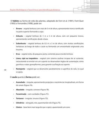 40
Noções Morfológicas e Taxonômicas para Identificação Botânica
O hábito ou forma de vida das plantas, adaptado de Ferri et al. (1981), Font Quer
(1993) e Fernandes (1998), pode ser:
•	 Árvore – vegetal lenhoso com mais de 5 m de altura, apresentando tronco ramificado
na parte superior formando a copa.
•	 Arbusto – vegetal lenhoso de 3 m a 5 m de altura, com um pequeno tronco,
apresentando ramificações desde a base.
•	 Subarbusto – vegetal lenhoso de 0,5 m a 3 m de altura, com muitas ramificações
herbáceas ao longo de todo o caule ou formando um emaranhado originando uma
touceira.
•	 Erva – vegetal ereto, de pequeno porte, contendo pouco tecido lenhoso.
•	 Liana, cipó ou trepadeira – vegetal com sistema caulinar incapaz de se sustentar,
necessitando se enrolar em um suporte ou desenvolver órgãos de sustentação, como
gavinhas e raízes grampiformes, para garantir sua fixação ao suporte.
•	 Rastejante – vegetal que se desenvolve paralelamente à superfície do solo, no qual
se apoia.
O caule quanto à forma pode ser:
•	 Acanalado – irregular, apresentando projeções e reentrâncias longitudinais, em forma
de canais (Figura 7A).
•	 Abaulado – irregular, convexo (Figura 7B).
•	 Foraminado – com cavidades (Figura 7C).
•	 Tortuoso – irregular, sinuoso (Figura 7D).
•	 Cilíndrico – alongado, reto, aparentando rolo (Figura 7E).
•	 Cônico – base bem mais larga do que o ápice, aparentando um cone.
 
